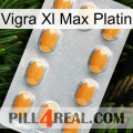Vigra Xl Max Platinum cialis3